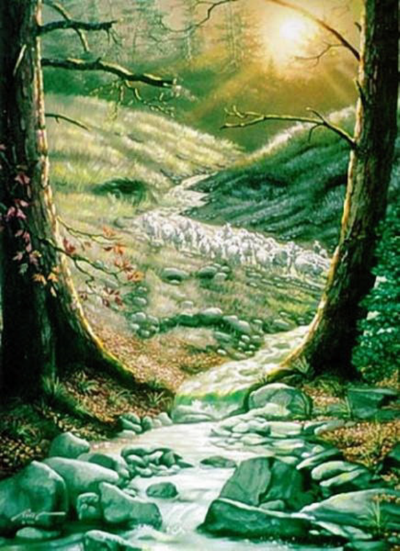 Picture